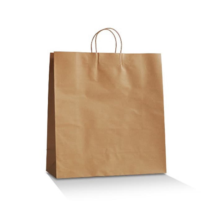 Twist Handle Brown Kraft Paper Bags