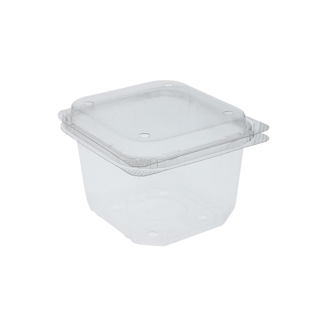 Punched Hinged Lid Containers
