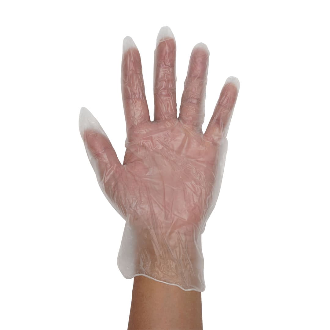 Vinyl Gloves – Powder Free