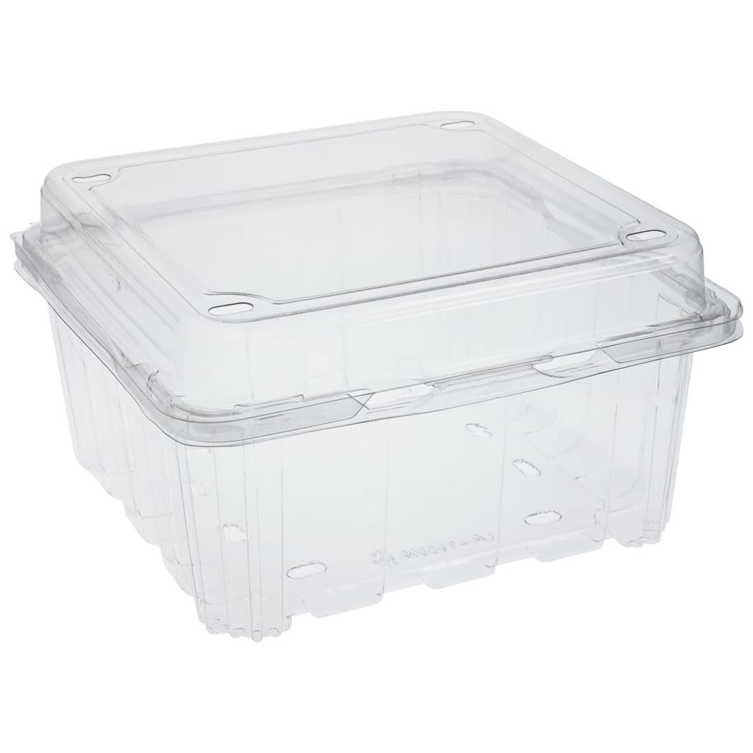 Punched Hinged Lid Containers