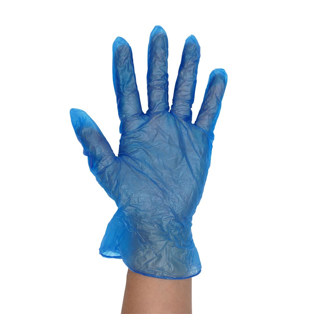 Vinyl Gloves – Powdered